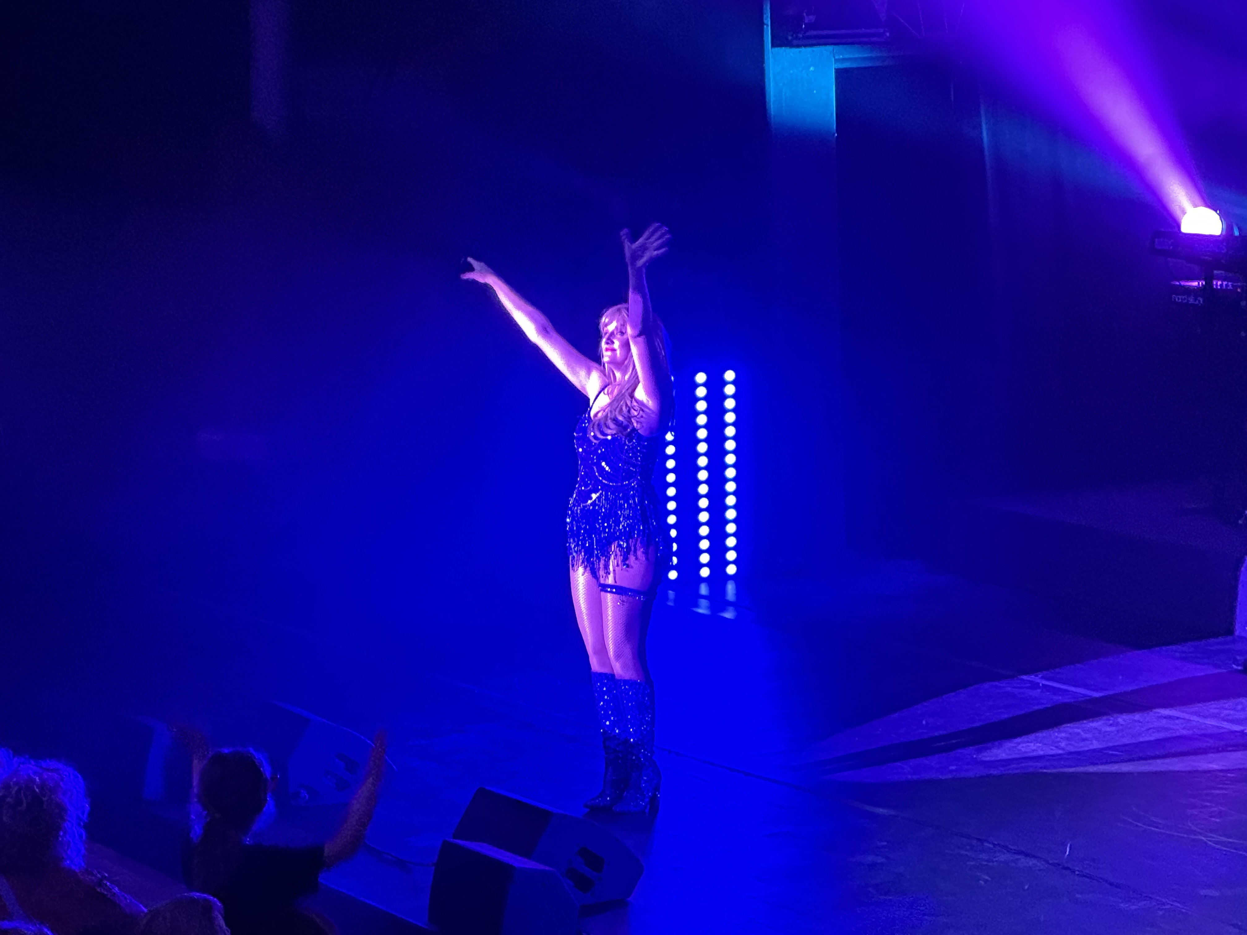 “TAYLOR SWIFT” – by Katy Ellis