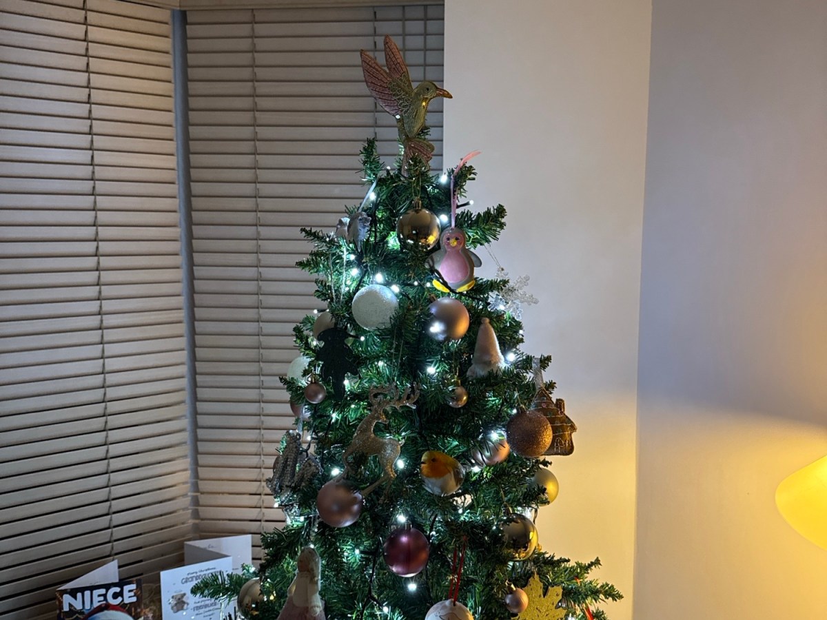 Christmas Preparations & Traditions&nbsp;2025