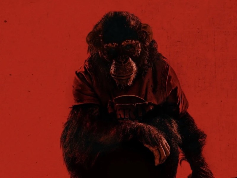 “Primate” Film Review/Opinion